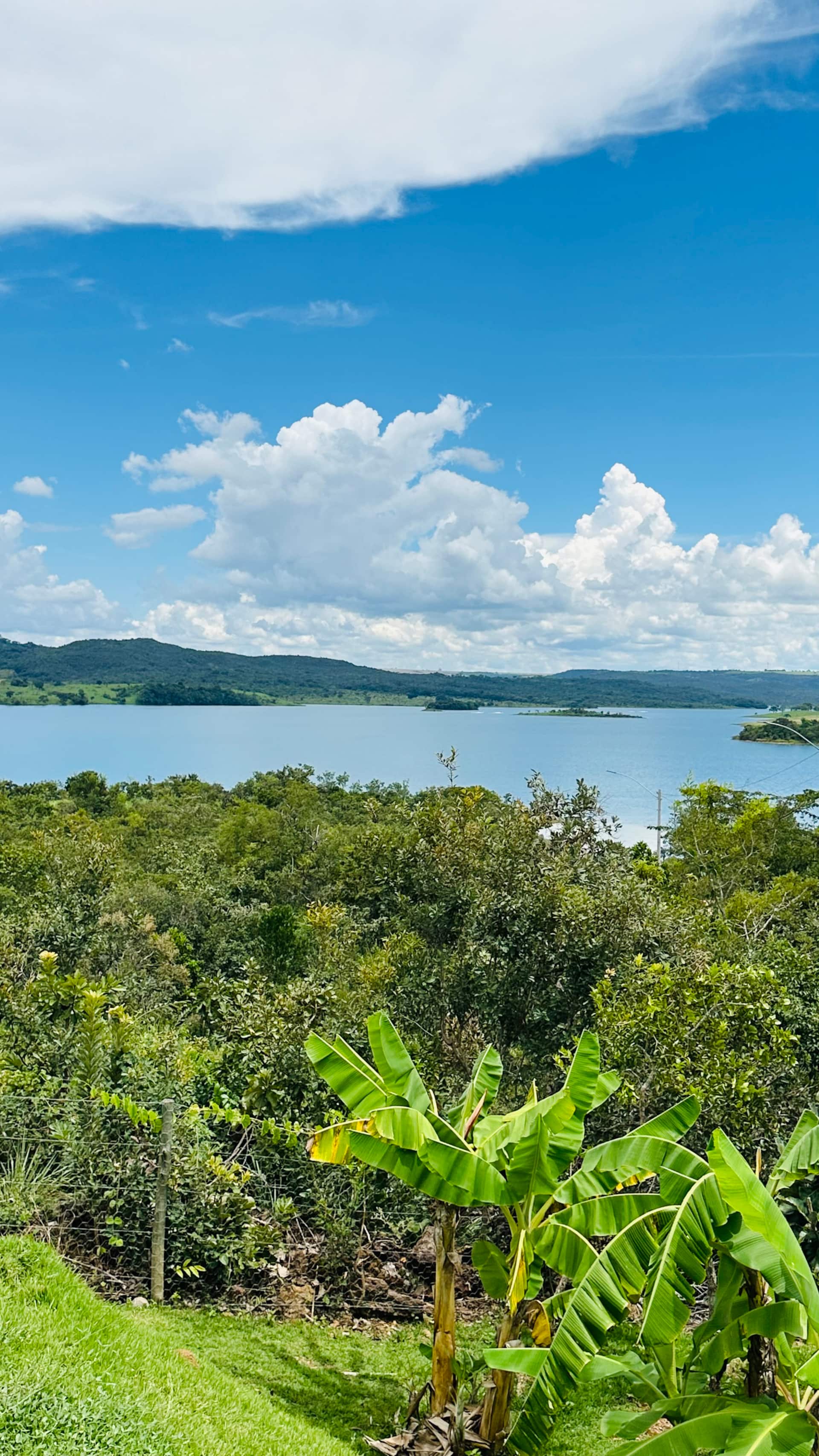 Lago cercado pela natureza